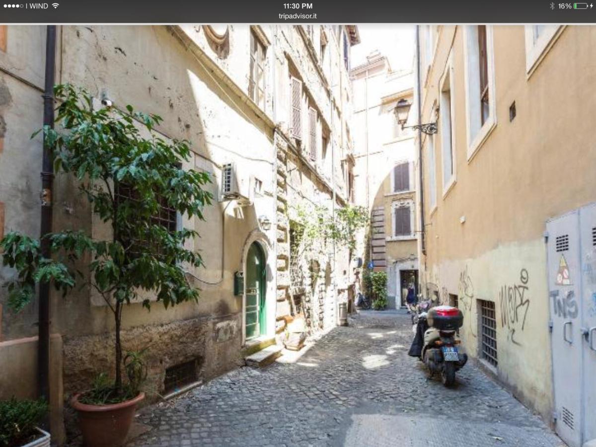 Navona Sunshine Big Terrace * Roma